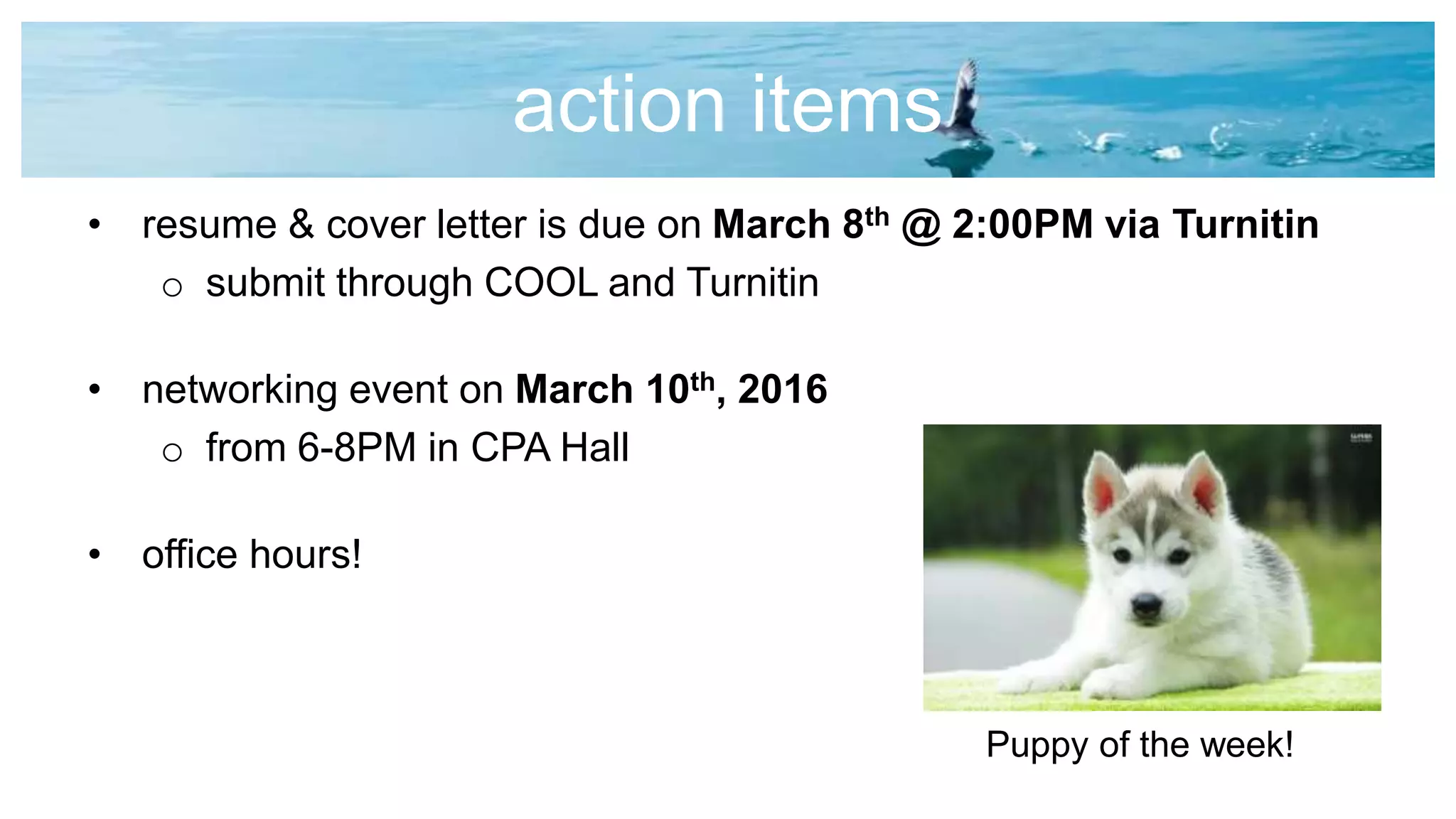 action items
• resume & cover letter is due on March 8th @ 2:00PM via Turnitin
o submit through COOL and Turnitin
• networking event on March 10th, 2016
o from 6-8PM in CPA Hall
• office hours!
Puppy of the week!
 