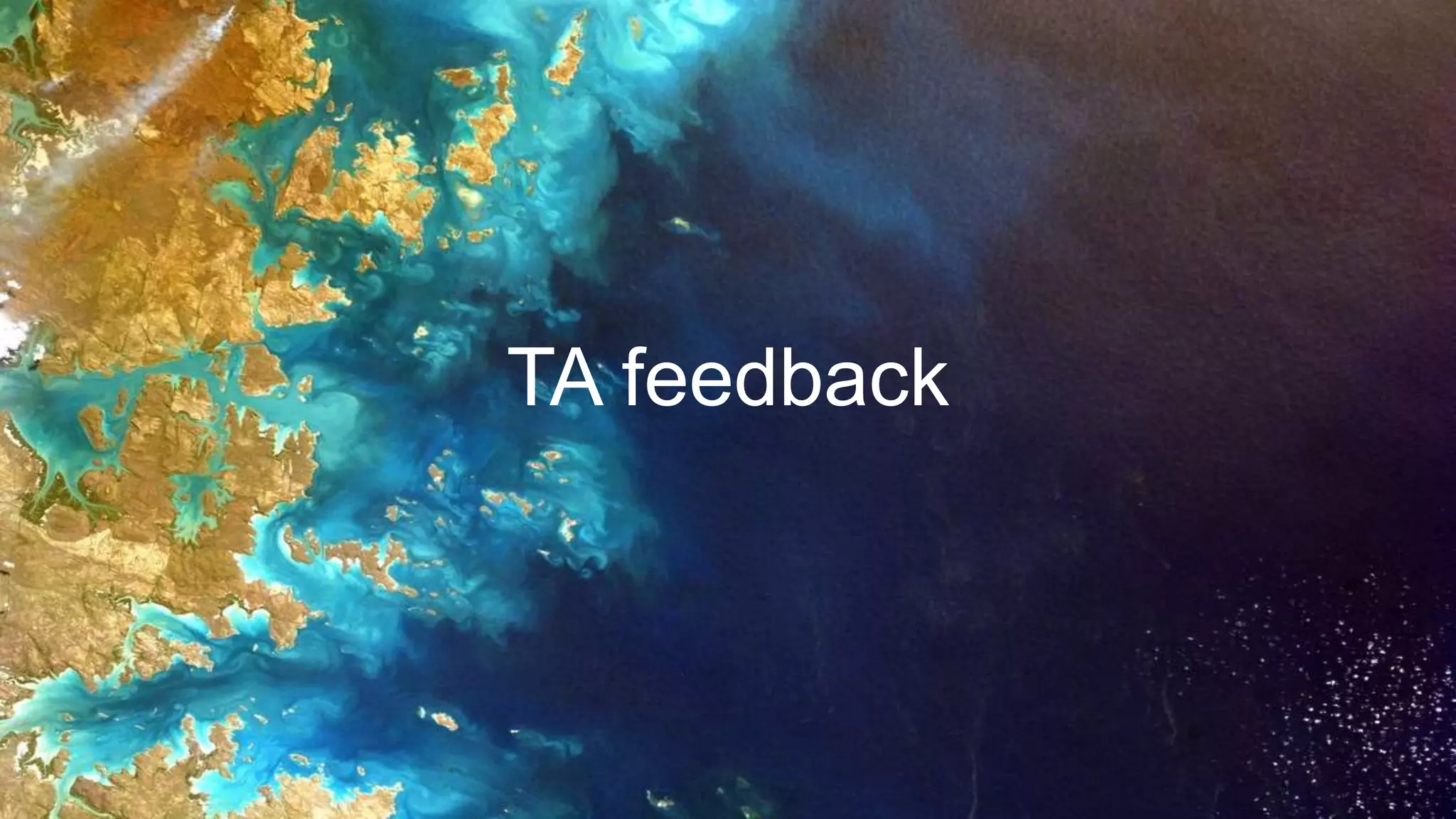 TA feedback
 