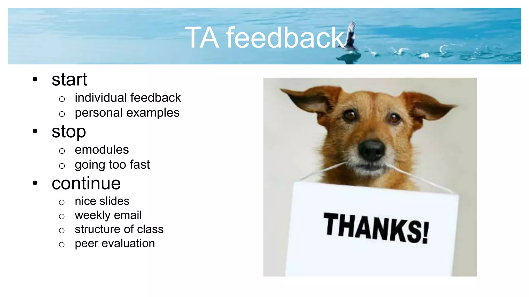 TA feedback
• start
o individual feedback
o personal examples
• stop
o emodules
o going too fast
• continue
o nice slides
o weekly email
o structure of class
o peer evaluation
 