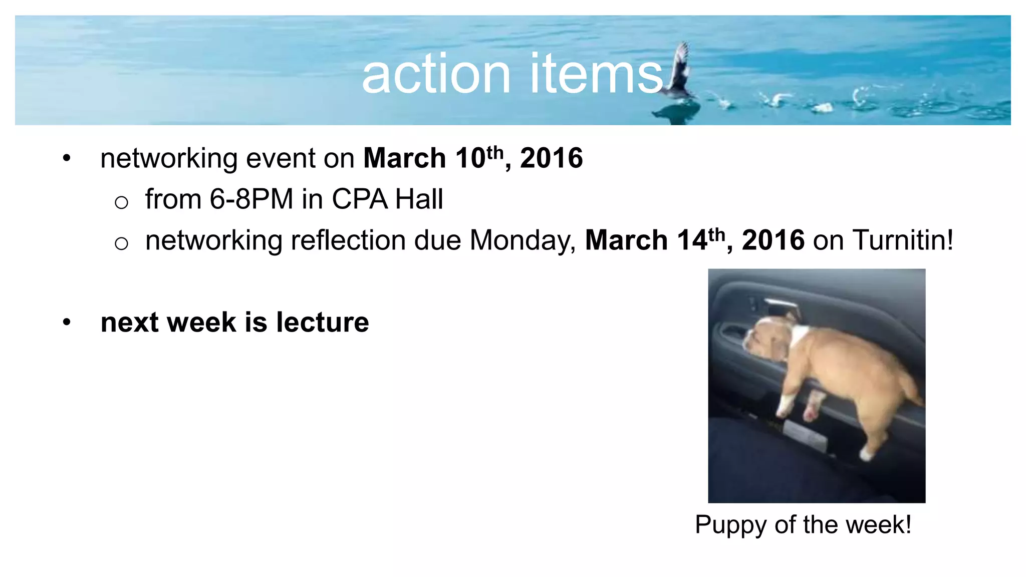 action items
• networking event on March 10th, 2016
o from 6-8PM in CPA Hall
o networking reflection due Monday, March 14th, 2016 on Turnitin!
• next week is lecture
Puppy of the week!
 