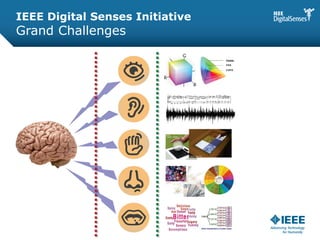 IEEE Digital Senses Initiative
Grand Challenges
 