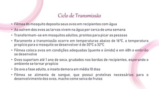 Ciclo de Transmissão
• Fêmea do mosquito deposita seus ovos em recipientes com água
• Ao saírem dos ovos as larvas vivem na água por cerca de uma semana
• Transformam-se em mosquitos adultos, prontos para picar as pessoas
• Raramente a transmissão ocorre em temperaturas abaixo de 16ºC, a temperatura
propício para o mosquito se desenvolver é de 30ºC a 32ºC
• Fêmea coloca ovos em condições adequadas (quente e úmido) e em 48h o embrião
se desenvolve
• Ovos suportam até 1 ano de seca, grudados nas bordas de recipientes, esperando o
ambiente se tornar propício
• Do ovo a fase adulta, o inseto demora em média 10 dias
• Fêmea se alimenta de sangue, que possui proteínas necessárias para o
desenvolvimento dos ovos, macho come seiva de frutas
 