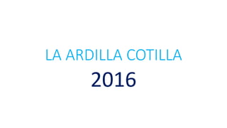 LA ARDILLA COTILLA
2016
 