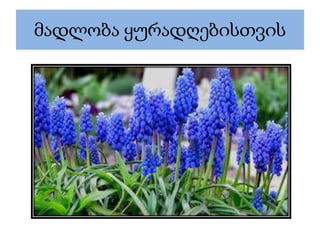 მადლობა ყურადღებისთვის
 