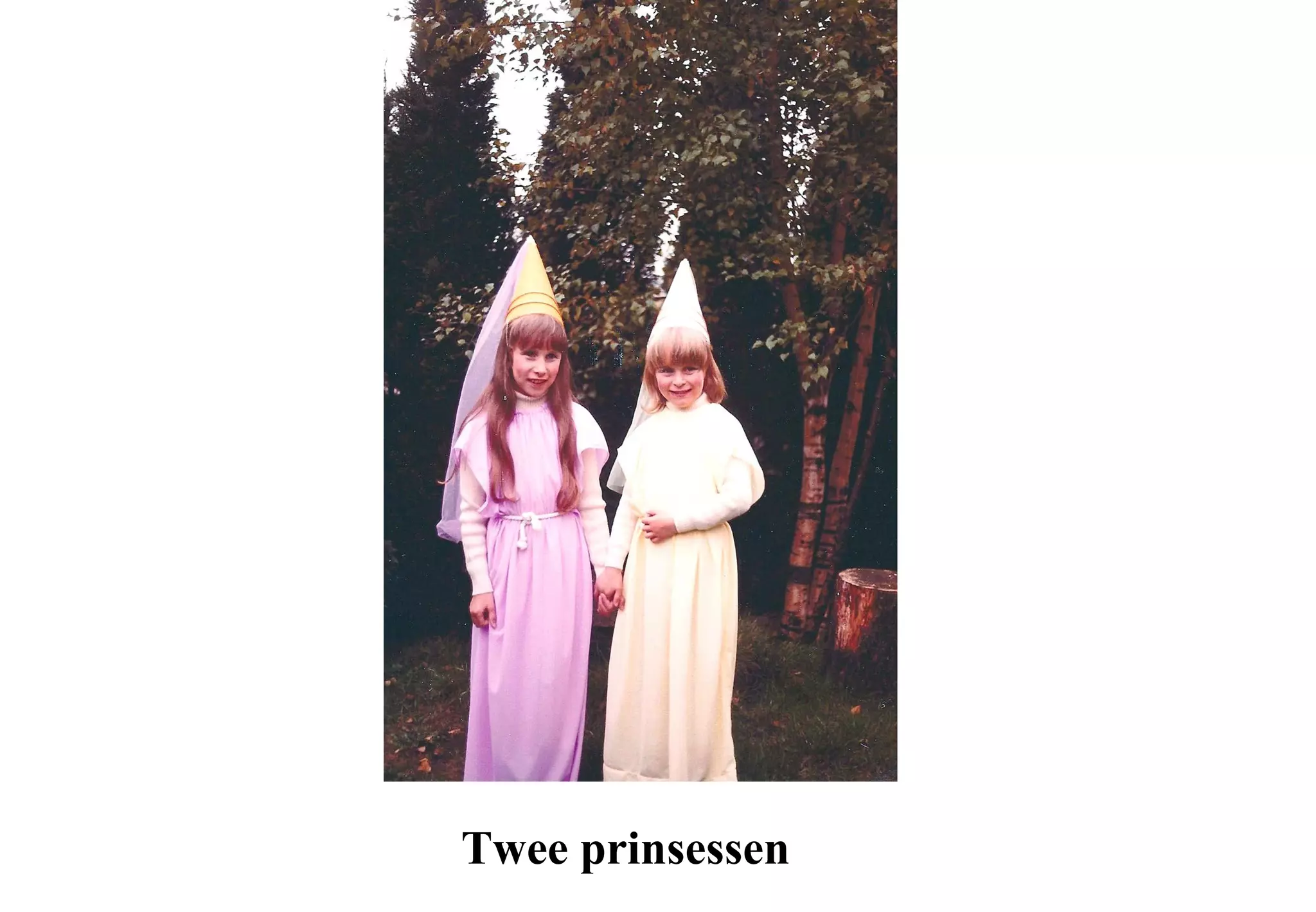 Twee prinsessen
 