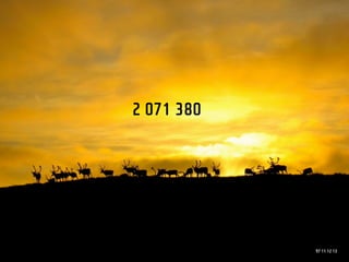 2 071 380




            97 11 12 13
 