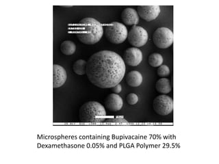 Microspheres containing Bupivacaine 70% with
Dexamethasone 0.05% and PLGA Polymer 29.5%
 