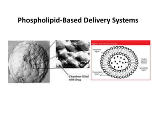 Phospholipid-Based Delivery Systems
 