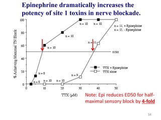 Epinephrine dramatically increases the
potency of site 1 toxins in nerve blockade.
Note: Epi reduces ED50 for half-
maximal sensory block by 4-fold
34
 