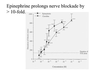 Epinephrine prolongs nerve blockade by
> 10-fold.
 