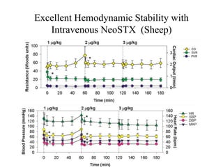 Excellent Hemodynamic Stability with
Intravenous NeoSTX (Sheep)
 