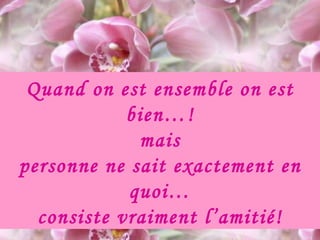 Quand on est ensemble on est bien…! mais personne ne sait exactement en quoi… consiste vraiment l’amitié! 