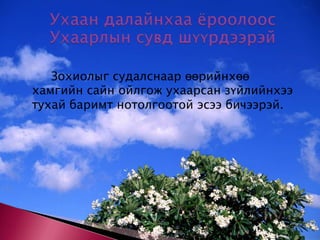 		Зохиолыг судалснаар өөрийнхөө хамгийн сайн ойлгож ухаарсан зүйлийнхээ тухай баримт нотолгоотой эсээ бичээрэй.  Ухаан далайнхаа ёроолоос Ухаарлын сувд шүүрдээрэй 