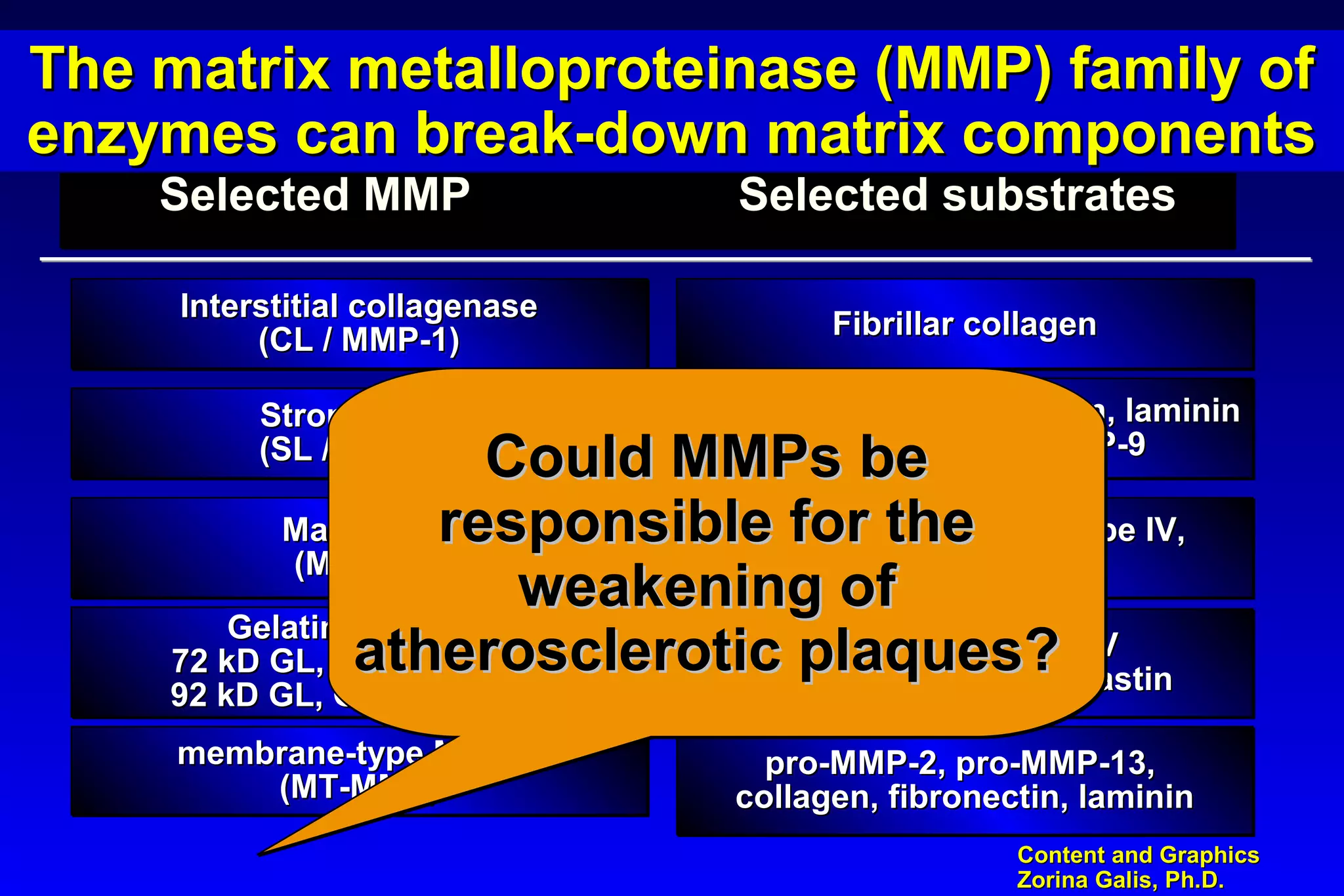 Content and GraphicsContent and Graphics
Zorina Galis, Ph.D.Zorina Galis, Ph.D.
Selected MMPSelected MMP Selected substratesSelected substrates
StromelysinStromelysin
(SL / MMP-3)(SL / MMP-3)
StromelysinStromelysin
(SL / MMP-3)(SL / MMP-3)
Proteoglycans, fibronectin, lamininProteoglycans, fibronectin, laminin
pro-MMP-1, pro-MMP-9pro-MMP-1, pro-MMP-9
Proteoglycans, fibronectin, lamininProteoglycans, fibronectin, laminin
pro-MMP-1, pro-MMP-9pro-MMP-1, pro-MMP-9
Gelatinases (GL)Gelatinases (GL)
72 kD GL, GL a (MMP-2)72 kD GL, GL a (MMP-2)
92 kD GL, GL b (MMP-9)92 kD GL, GL b (MMP-9)
Gelatinases (GL)Gelatinases (GL)
72 kD GL, GL a (MMP-2)72 kD GL, GL a (MMP-2)
92 kD GL, GL b (MMP-9)92 kD GL, GL b (MMP-9)
Collagen type IV / VCollagen type IV / V
degraded collagen, elastindegraded collagen, elastin
Collagen type IV / VCollagen type IV / V
degraded collagen, elastindegraded collagen, elastin
Interstitial collagenaseInterstitial collagenase
(CL / MMP-1)(CL / MMP-1)
Interstitial collagenaseInterstitial collagenase
(CL / MMP-1)(CL / MMP-1) Fibrillar collagenFibrillar collagenFibrillar collagenFibrillar collagen
membrane-type MMP-1membrane-type MMP-1
(MT-MMP)(MT-MMP)
membrane-type MMP-1membrane-type MMP-1
(MT-MMP)(MT-MMP)
pro-MMP-2, pro-MMP-13,pro-MMP-2, pro-MMP-13,
collagen, fibronectin, laminincollagen, fibronectin, laminin
pro-MMP-2, pro-MMP-13,pro-MMP-2, pro-MMP-13,
collagen, fibronectin, laminincollagen, fibronectin, laminin
The matrix metalloproteinase (MMP) family ofThe matrix metalloproteinase (MMP) family of
enzymes can break-down matrix componentsenzymes can break-down matrix components
The matrix metalloproteinase (MMP) family ofThe matrix metalloproteinase (MMP) family of
enzymes can break-down matrix componentsenzymes can break-down matrix components
MatrilysinMatrilysin
(MMP-7)(MMP-7)
MatrilysinMatrilysin
(MMP-7)(MMP-7)
fibronectin, collagen type IV,fibronectin, collagen type IV,
laminin, elastinlaminin, elastin
fibronectin, collagen type IV,fibronectin, collagen type IV,
laminin, elastinlaminin, elastin
Could MMPs beCould MMPs be
responsible for theresponsible for the
weakening ofweakening of
atherosclerotic plaques?atherosclerotic plaques?
 