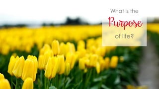 What is the
of life?
Purpose
 