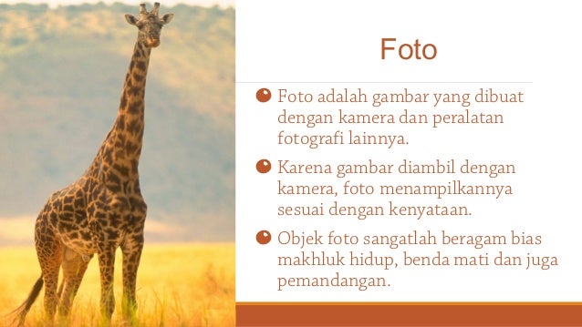 Jenis Ilustrasi