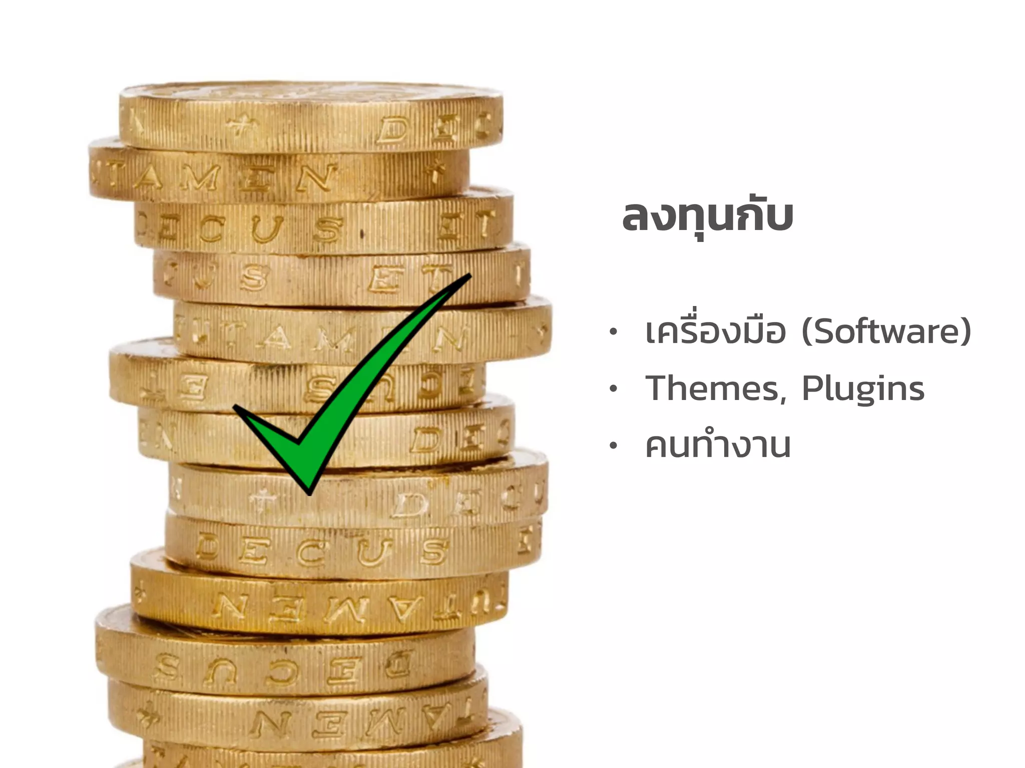 ลงทุนกับ
• เครื่องมือ (Software)
• Themes, Plugins
• คนทํางาน
 