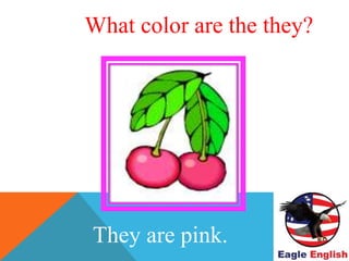 WHAT COLOR ARE THE CHERRIES?
They are pink.
What color are the they?
 