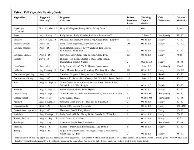 Growing a Fall Vegetable Garden in North Carolina, Gardening Guideboo…