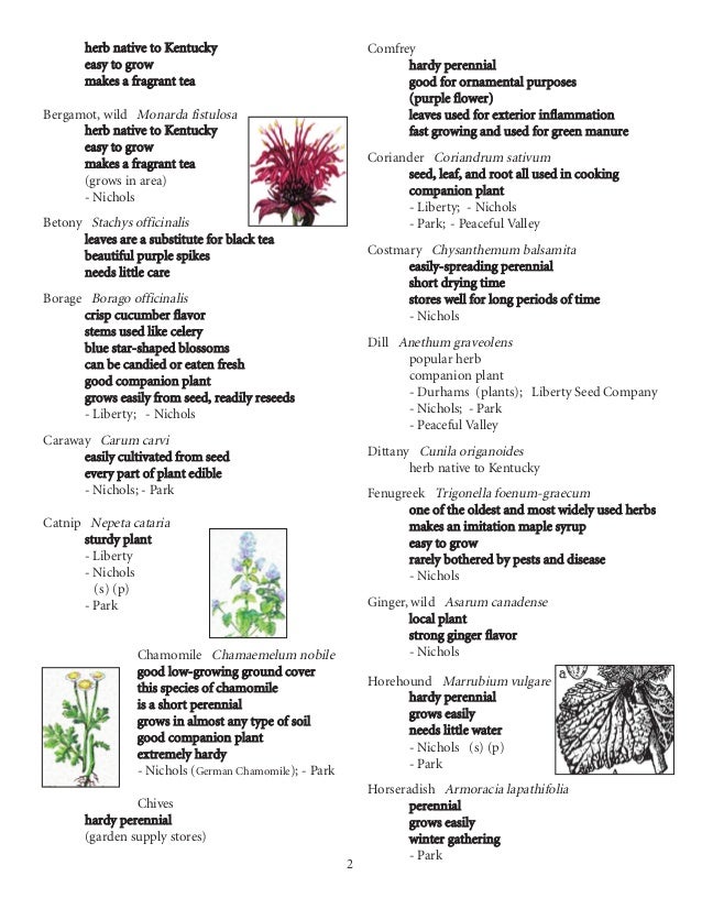 Herb Growing in Appalachia, Gardening Guidebook for Kentucky