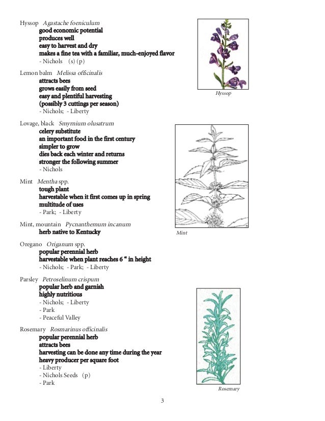 Herb Growing in Appalachia, Gardening Guidebook for Kentucky