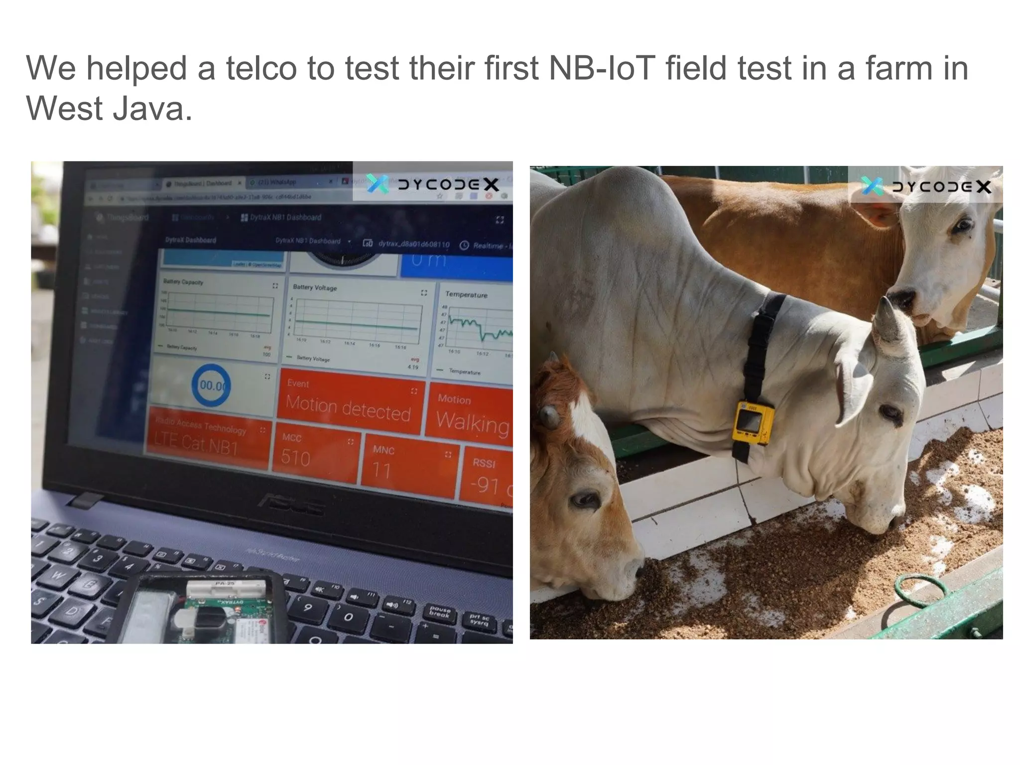 We helped a telco to test their first NB-IoT field test in a farm in
West Java.
 