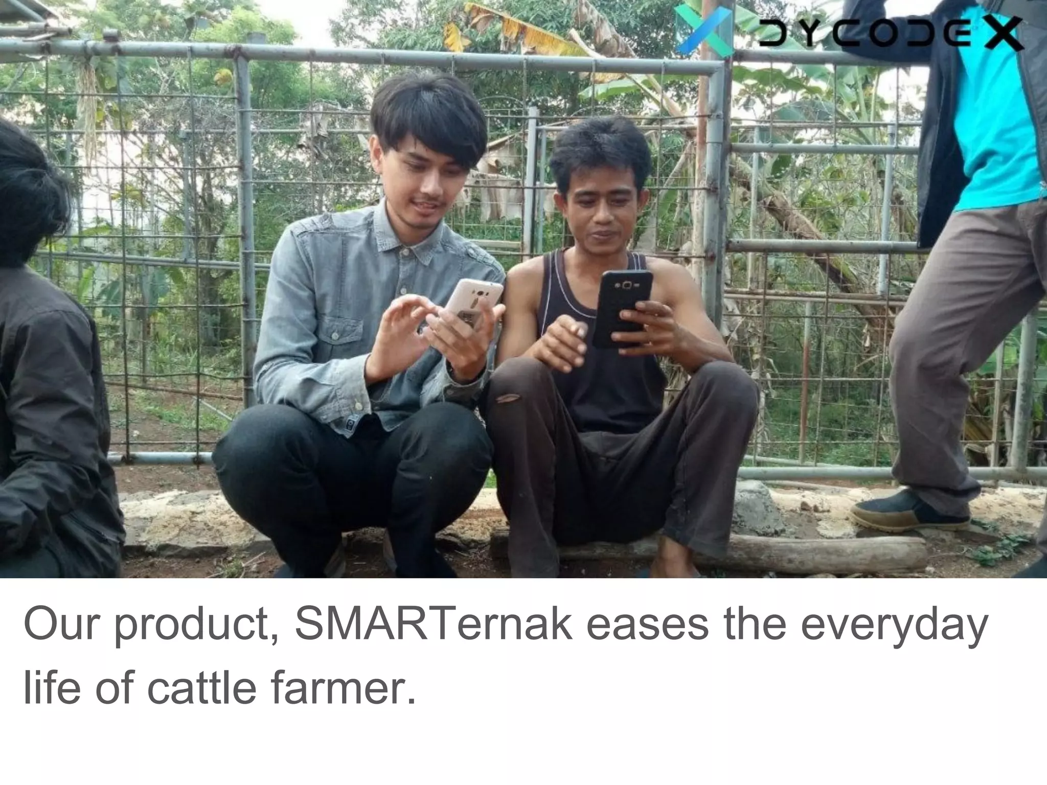 Our product, SMARTernak eases the everyday
life of cattle farmer.
 