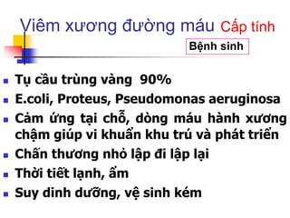  Tụ cầu trùng vàng 90%
 E.coli, Proteus, Pseudomonas aeruginosa
 Cảm ứng tại chỗ, dòng máu hành xương
chậm giúp vi khuẩn khu trú và phát triển
 Chấn thương nhỏ lập đi lập lại
 Thời tiết lạnh, ẩm
 Suy dinh dưỡng, vệ sinh kém
Viêm xương đường máu
Bệnh sinh
Cấp tính
 
