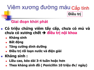 Viêm xương đường máu
 Có triệu chứng viêm tấy cấp, chưa có mủ và
chưa có xương chết  điều trị nội khoa
 Kháng sinh
 Bất động
 Tăng cường dinh dưỡng
 Điều trị rối loạn nước và điện giải
 Kháng sinh :
 Liều cao, kéo dài 3-4 tuần hoặc hơn
 Theo kháng sinh đồ ( Penicillin 10 triệu đv/ ngày)
Điều trị
Cấp tính
Giai đoạn khởi phát
 