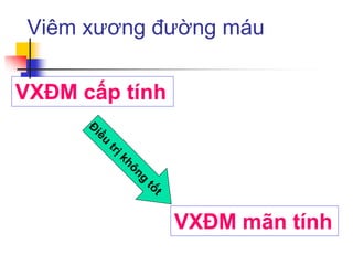 Viêm xương đường máu
VXĐM cấp tính
VXĐM mãn tính
 