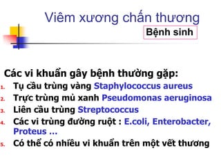 Các vi khuẩn gây bệnh thường gặp:
1. Tụ cầu trùng vàng Staphylococcus aureus
2. Trực trùng mủ xanh Pseudomonas aeruginosa
3. Liên cầu trùng Streptococcus
4. Các vi trùng đường ruột : E.coli, Enterobacter,
Proteus …
5. Có thể có nhiều vi khuẩn trên một vết thương
Viêm xương chấn thương
Bệnh sinh
 