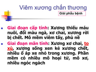  Giai đoạn cấp tính: Xương thiếu máu
nuôi, đổi màu ngà, xơ chai, xương rời
bị chết. Mô mềm viêm tấy, phù nề
 Giai đoạn mãn tính: Xương xơ chai, to
xù, xương sống xen kẻ xương chết,
nhiều ổ áp xe nhỏ trong xương. Phần
mềm có nhiều mô hoại tử, mô xơ,
nhiều ngóc ngách
Viêm xương chấn thương
Giải phẫu bệnh
 