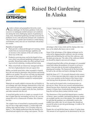 Alaska’s climate and geographical di­versity create
many challenges for the home gardener. Cold soils,
excessive or inadequate rainfall and poor soil conditions
are among the more challenging aspects of gardening in
many areas. Raised bed gardening can help overcome the
problems of wet, cold and poorly drained soils. Gardeners
who do not have a garden spot located in a south-sloping,
well-drained, sunny area can use raised beds with produc-
tive results.
Benefits of raised beds:
yy Plant growth is enhanced through soil warming, which
results from an increased drainage capability and
an increase in the exposure of the soil surface to the
direct rays of the sun.
yy Productive growing areas can be developed in loca-
tions where con­ventional gardening tech­niques are not
possible. Raised beds reduce the effort and back bend-
ing involved in planting, weeding and harvesting.
yy Many raised beds are intensively managed and there-
fore have high production rates per square foot.
Before you build raised beds, either mounded or framed,
have the soil tested to determine what fertilizer and liming
additives are needed. The soil test will help you determine
the amount of lime required to raise the soil pH and the
type and amount of fertilizer needed for sustained plant
growth.
Materials are usually added to increase the soil fertility or
air exchange and water drainage characteristics of the soil.
Some materials used are sand, compost, manure and peat
moss. Use a rototiller or spade to mix the lime, fertilizers
and other materials into the soil.
A raised bed garden can be as simple as a mound of soil
that is higher than the surrounding soil level. Or, you can
mound the soil in a framework of lumber, like a bottom-
less box.
The simpler form of raised bed is constructed by mound-
ing soil into a ridge approximately 12 inches high with
sloping sides and top surface 18 to 24 inches wide (see
figure 1). This ridging method provides the benefits of a
raised bed and requires less energy and expense. The dis-
advantage is that it may erode and the sloping sides may
have to be rebuilt after heavy rain or wind.
Some of the advantages of the ridging technique can be
achieved by digging parallel walkways into the existing
garden plot and placing the soil from the walkways onto
the plant growing area. The sides of the walkways (ditch-
es) should be sloped to prevent soil collapse.
A framed raised bed offers all the advantages of a mounded
raised bed without the problems of erosion or soil move-
ment. It also provides an elevated working platform for
planting and weeding. The framework for the bed should
be built so the soil does not bend or dislodge the frame.
Build the frame of 2 × 12s securely fastened at the corners.
At 2- to 4-foot intervals either drive stakes into the ground
or use cross members on the bottom of the frame to pre-
vent bowing from the pressure of the soil (see figure 2).
The wood can be treated with a wood preservative to
prevent rot. (Note: Do not use creosote and pentachloro-
phenol because these chemicals may damage plants upon
contact.) A frame liner of polyethylene can be used to
keep the soil from direct contact with the wood.
The dimensions of the raised bed depend upon a number
of factors: space available, anticipated production, materi-
als available and the size of the garden. The width should
be such that the gardener can comfortably reach to the
middle from either side. In wet climates this should not
exceed 48 inches to provide good drainage. A width of 36
inches is better yet.
Prepare the soil and fill the frame to about 12 inches deep.
The amount of soil required can be de­termined by the con-
Raised Bed Gardening
In Alaska
HGA-00132
Figure 1. Built-up rows.
 