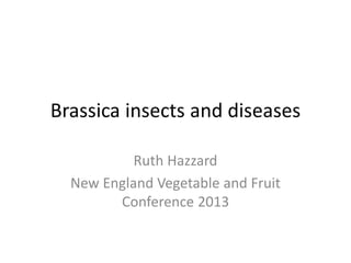 Brassica insects and diseases
Ruth Hazzard
New England Vegetable and Fruit
Conference 2013
 