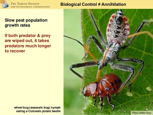 Farming for Beneficial Insects - Conservation on Native ...