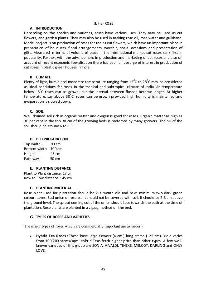 model bankable project on protected cultivation gardening guidebook