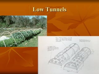 Low TunnelsLow Tunnels
 
