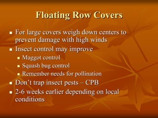 Floating Row CoversFloating Row Covers
For large covers weigh down centers toFor large covers weigh down centers to
prevent damage with high windsprevent damage with high winds
Insect control may improveInsect control may improve
Maggot controlMaggot control
Squash bug controlSquash bug control
Remember needs for pollinationRemember needs for pollination
DonDon’’t trap insect pestst trap insect pests –– CPBCPB
22--6 weeks earlier depending on local6 weeks earlier depending on local
conditionsconditions
 