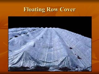 Floating Row CoverFloating Row Cover
 