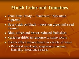 Mulch Color and TomatoesMulch Color and Tomatoes
Penn State StudyPenn State Study –– ‘‘SunbeamSunbeam’’ ‘‘MountainMountain
SupremeSupreme’’
Best yields on blackBest yields on black –– worst on green infraworst on green infra--redred
thermalthermal
Blue, silver and brown reduced fruit sizesBlue, silver and brown reduced fruit sizes
Varieties differ in response to same colorsVarieties differ in response to same colors
Colors affect microclimate in variety of waysColors affect microclimate in variety of ways
ReflectedReflected wavelenghwavelengh, temperature, moisture,, temperature, moisture,
humidity, insects and diseaseshumidity, insects and diseases
 