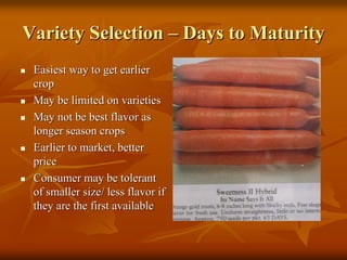 Variety SelectionVariety Selection –– Days to MaturityDays to Maturity
Easiest way to get earlierEasiest way to get earlier
cropcrop
May be limited on varietiesMay be limited on varieties
May not be best flavor asMay not be best flavor as
longer season cropslonger season crops
Earlier to market, betterEarlier to market, better
priceprice
Consumer may be tolerantConsumer may be tolerant
of smaller size/ less flavor ifof smaller size/ less flavor if
they are the first availablethey are the first available
 