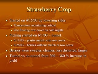 Strawberry CropStrawberry Crop
Started on 4/15/03 by lowering sidesStarted on 4/15/03 by lowering sides
Temperature monitoring criticalTemperature monitoring critical
Use floating row cover on cold nightsUse floating row cover on cold nights
Picking started on 6/1/03Picking started on 6/1/03 –– tunneltunnel
6/11/036/11/03 –– plastic mulch with row coverplastic mulch with row cover
6/26/036/26/03 –– berries without mulch or row coverberries without mulch or row cover
Berries were sweeter, cleaner, less distorted, largerBerries were sweeter, cleaner, less distorted, larger
TunnelTunnel vsvs nono--tunnel from 200tunnel from 200 –– 380 % increase in380 % increase in
yieldyield
 