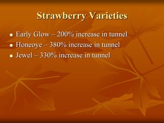 Strawberry VarietiesStrawberry Varieties
Early GlowEarly Glow –– 200% increase in tunnel200% increase in tunnel
HoneoyeHoneoye –– 380% increase in tunnel380% increase in tunnel
JewelJewel –– 330% increase in tunnel330% increase in tunnel
 