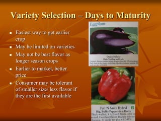 Variety SelectionVariety Selection –– Days to MaturityDays to Maturity
Easiest way to get earlierEasiest way to get earlier
cropcrop
May be limited on varietiesMay be limited on varieties
May not be best flavor asMay not be best flavor as
longer season cropslonger season crops
Earlier to market, betterEarlier to market, better
priceprice
Consumer may be tolerantConsumer may be tolerant
of smaller size/ less flavor ifof smaller size/ less flavor if
they are the first availablethey are the first available
 