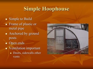 SimpleSimple HoophouseHoophouse
Simple to BuildSimple to Build
Frame of plastic orFrame of plastic or
metal pipemetal pipe
Anchored by groundAnchored by ground
postsposts
Open endsOpen ends
Ventilation importantVentilation important
Doors, sidewalls otherDoors, sidewalls other
ventsvents
 