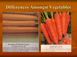 Differences Amongst VegetablesDifferences Amongst Vegetables
 