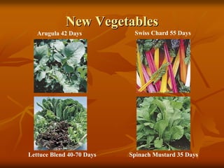 New VegetablesNew Vegetables
Swiss Chard 55 DaysArugula 42 Days
Lettuce Blend 40-70 Days Spinach Mustard 35 Days
 