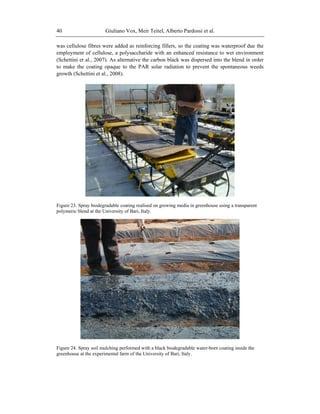 Giuliano Vox, Meir Teitel, Alberto Pardossi et al.40
was cellulose fibres were added as reinforcing fillers, so the coating was waterproof due the
employment of cellulose, a polysaccharide with an enhanced resistance to wet environment
(Schettini et al., 2007). As alternative the carbon black was dispersed into the blend in order
to make the coating opaque to the PAR solar radiation to prevent the spontaneous weeds
growth (Schettini et al., 2008).
Figure 23. Spray biodegradable coating realised on growing media in greenhouse using a transparent
polymeric blend at the University of Bari, Italy.
Figure 24. Spray soil mulching performed with a black biodegradable water-born coating inside the
greenhouse at the experimental farm of the University of Bari, Italy.
 