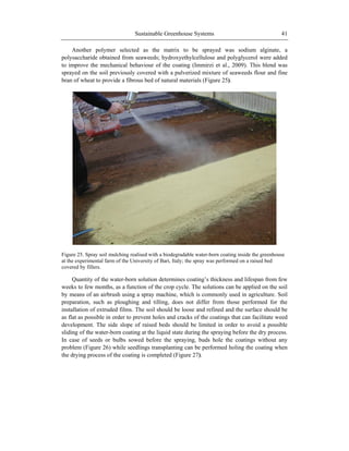 Sustainable Greenhouse Systems 41
Another polymer selected as the matrix to be sprayed was sodium alginate, a
polysaccharide obtained from seaweeds; hydroxyethylcellulose and polyglycerol were added
to improve the mechanical behaviour of the coating (Immirzi et al., 2009). This blend was
sprayed on the soil previously covered with a pulverized mixture of seaweeds flour and fine
bran of wheat to provide a fibrous bed of natural materials (Figure 25).
Figure 25. Spray soil mulching realised with a biodegradable water-born coating inside the greenhouse
at the experimental farm of the University of Bari, Italy; the spray was performed on a raised bed
covered by fillers.
Quantity of the water-born solution determines coating‘s thickness and lifespan from few
weeks to few months, as a function of the crop cycle. The solutions can be applied on the soil
by means of an airbrush using a spray machine, which is commonly used in agriculture. Soil
preparation, such as ploughing and tilling, does not differ from those performed for the
installation of extruded films. The soil should be loose and refined and the surface should be
as flat as possible in order to prevent holes and cracks of the coatings that can facilitate weed
development. The side slope of raised beds should be limited in order to avoid a possible
sliding of the water-born coating at the liquid state during the spraying before the dry process.
In case of seeds or bulbs sowed before the spraying, buds hole the coatings without any
problem (Figure 26) while seedlings transplanting can be performed holing the coating when
the drying process of the coating is completed (Figure 27).
 