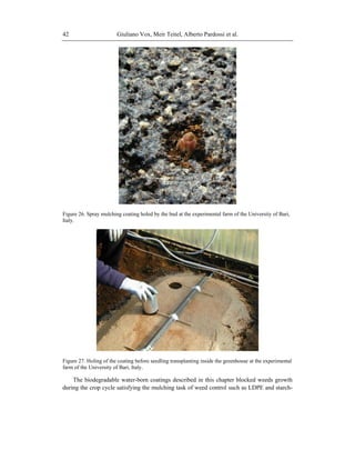 Giuliano Vox, Meir Teitel, Alberto Pardossi et al.42
Figure 26. Spray mulching coating holed by the bud at the experimental farm of the University of Bari,
Italy.
Figure 27. Holing of the coating before seedling transplanting inside the greenhouse at the experimental
farm of the University of Bari, Italy.
The biodegradable water-born coatings described in this chapter blocked weeds growth
during the crop cycle satisfying the mulching task of weed control such as LDPE and starch-
 